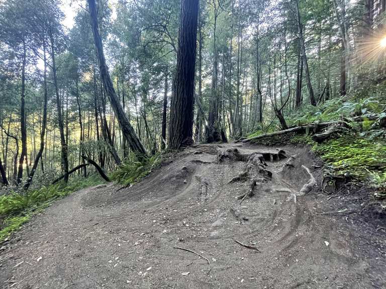 Top 10 Most Beautiful MTB Trails in Santa Cruz County Komoot