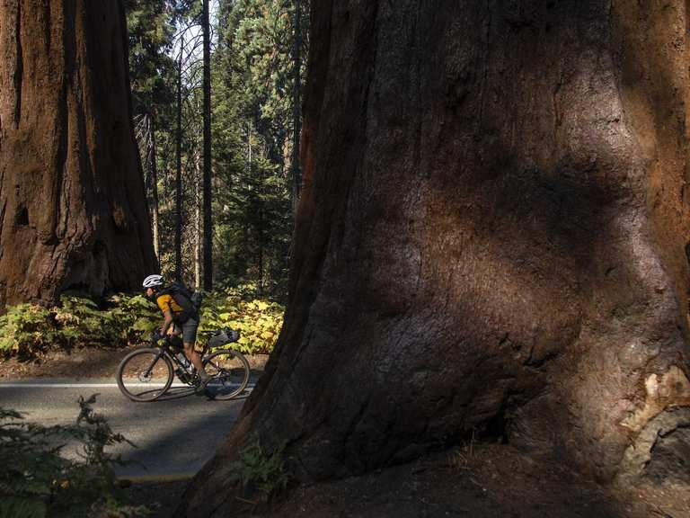 Sequoia national store park mountain biking