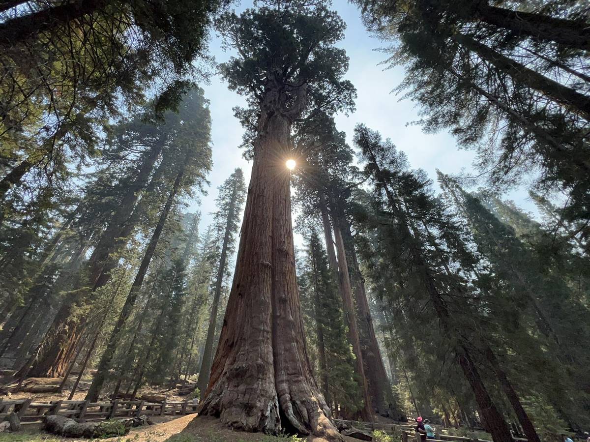 Kings Canyon National Parkのおすすめツーリングルート | komoot