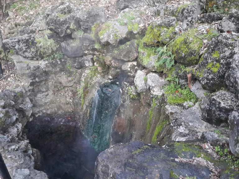 Attractions and Places To See in Hot Springs National Park - Top 12