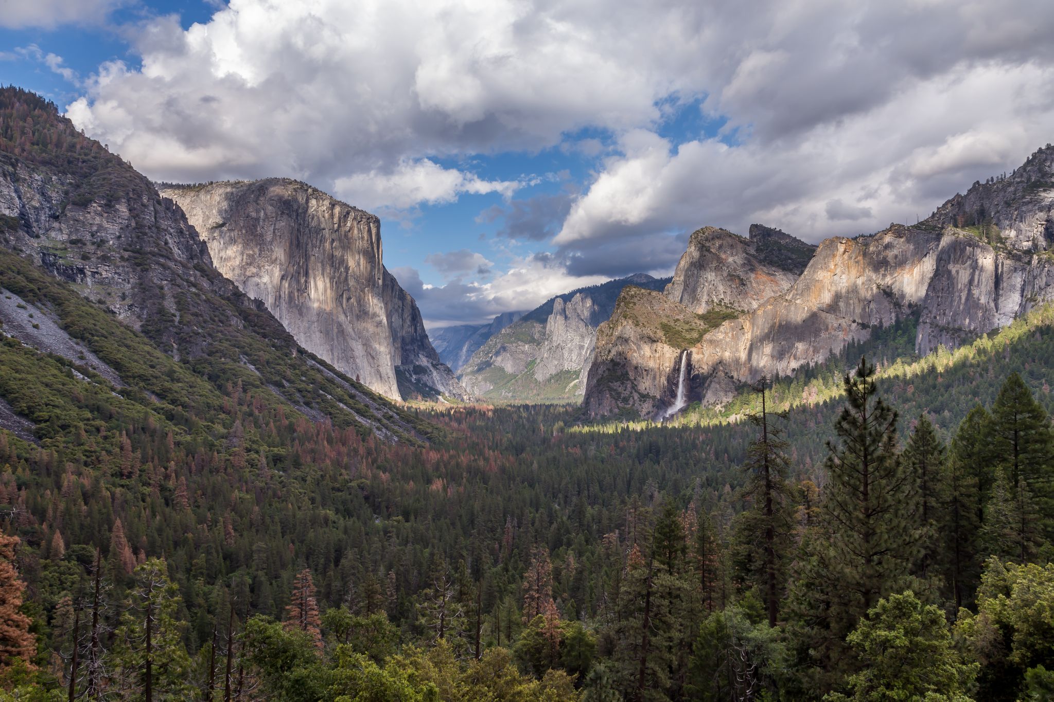 Best walks in yosemite national park best sale