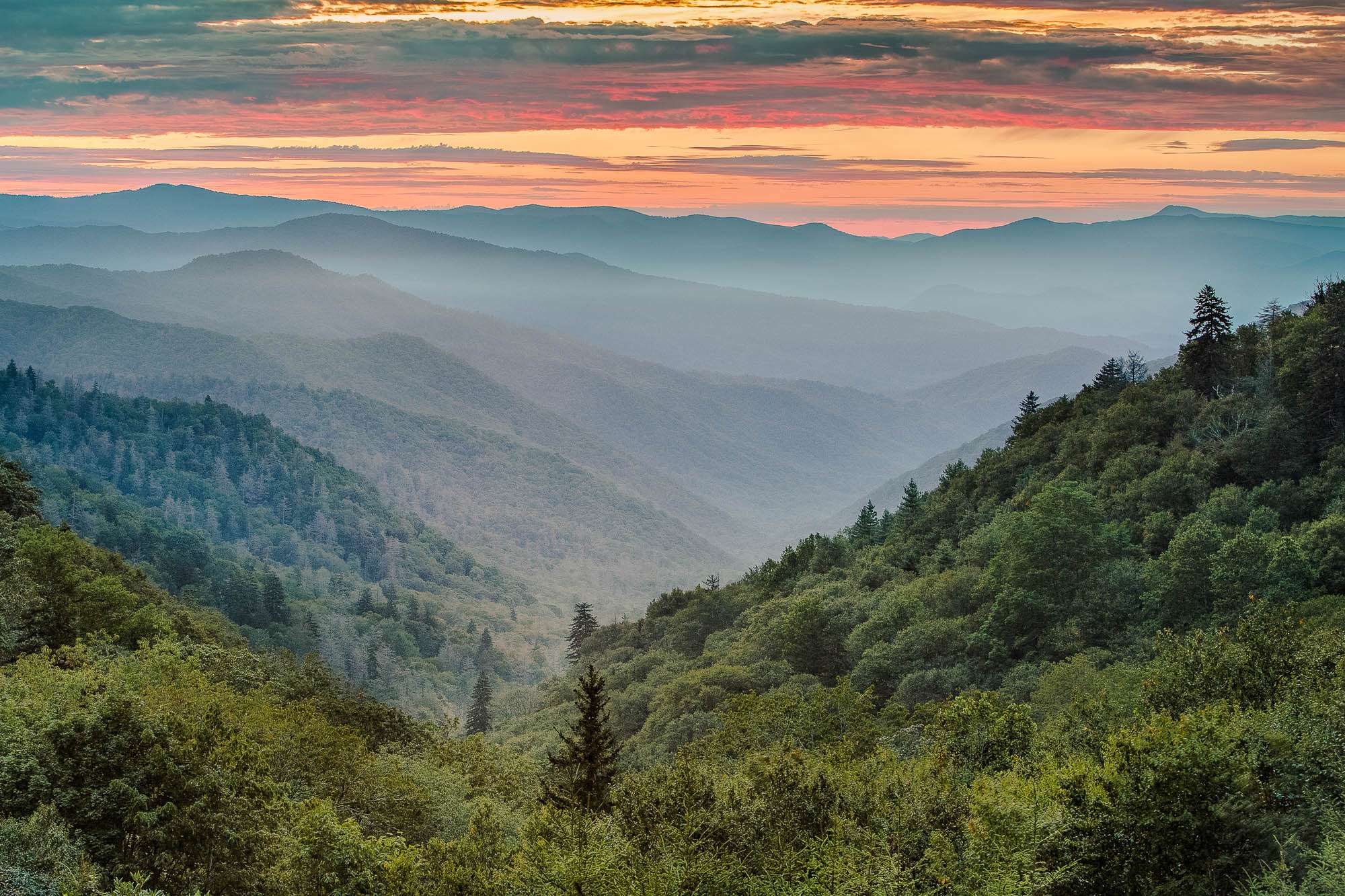 top-10-randonn-es-et-balades-parc-national-des-great-smoky-mountains