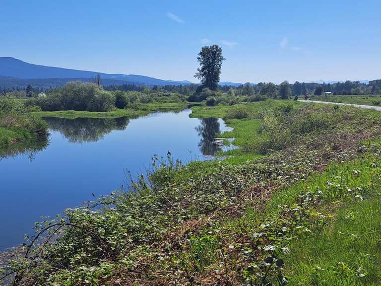 Top 10 Running Trails around Maple Ridge | Komoot