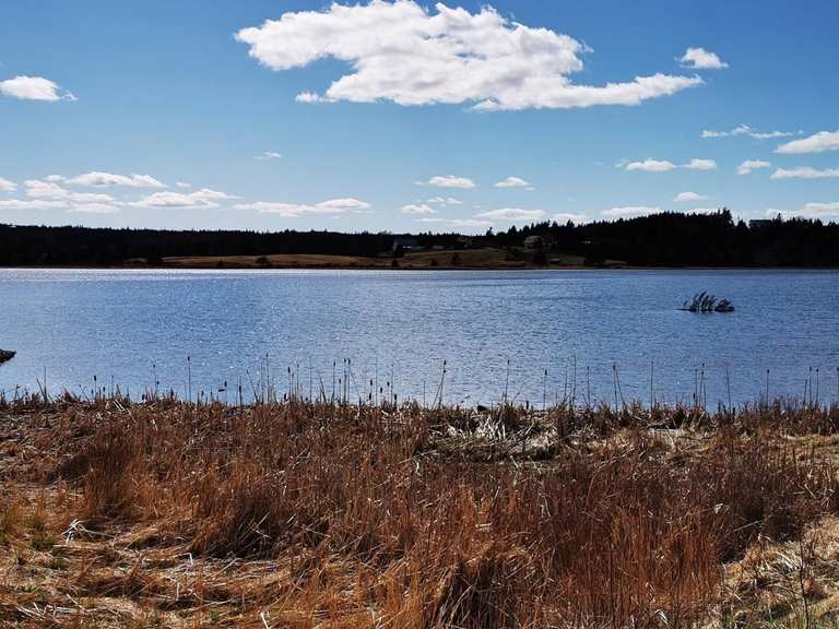 Top 10 Bike Rides and Cycling Routes around Halifax County | Komoot