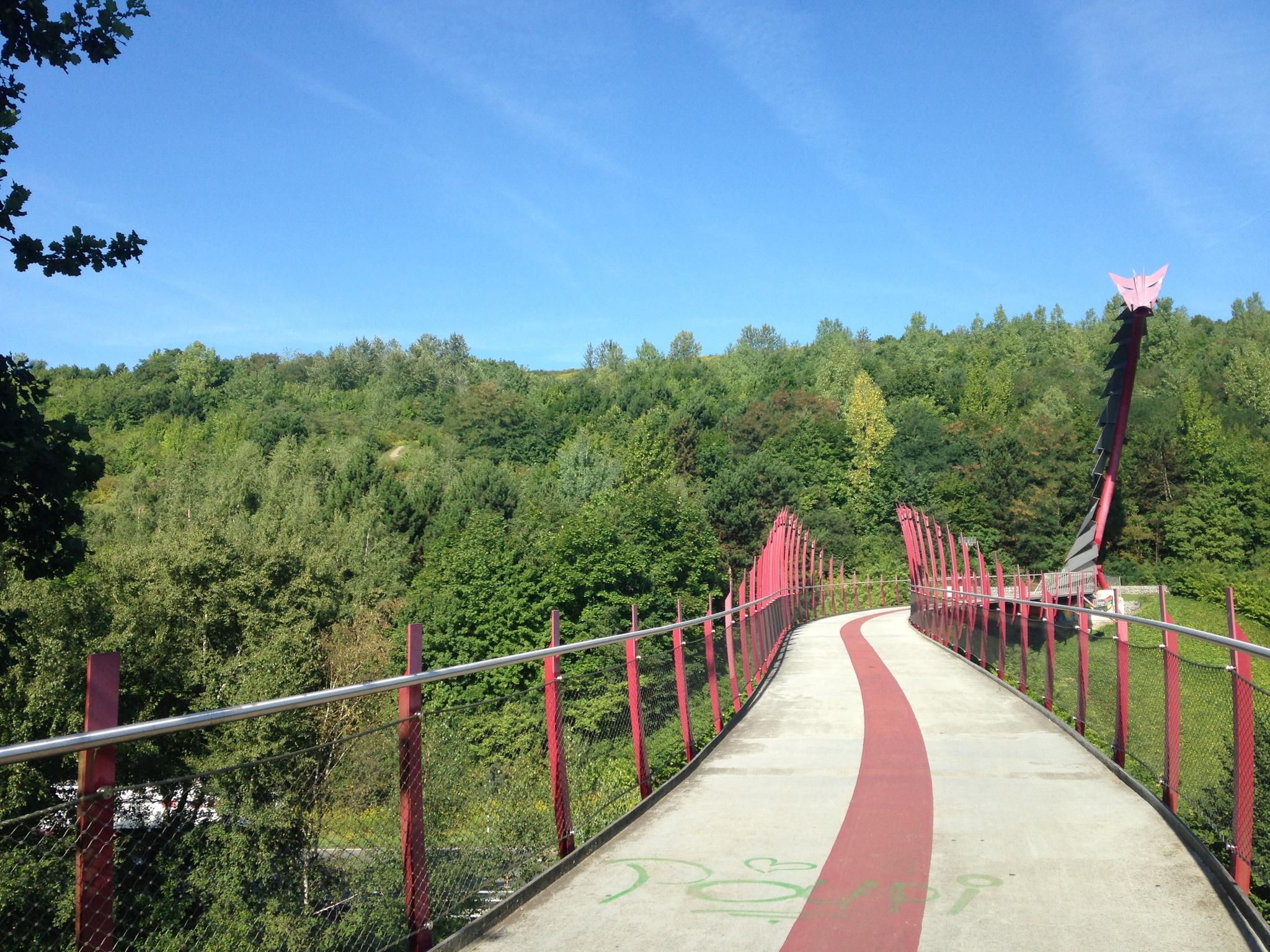 fahrradtouren in meiner nähe