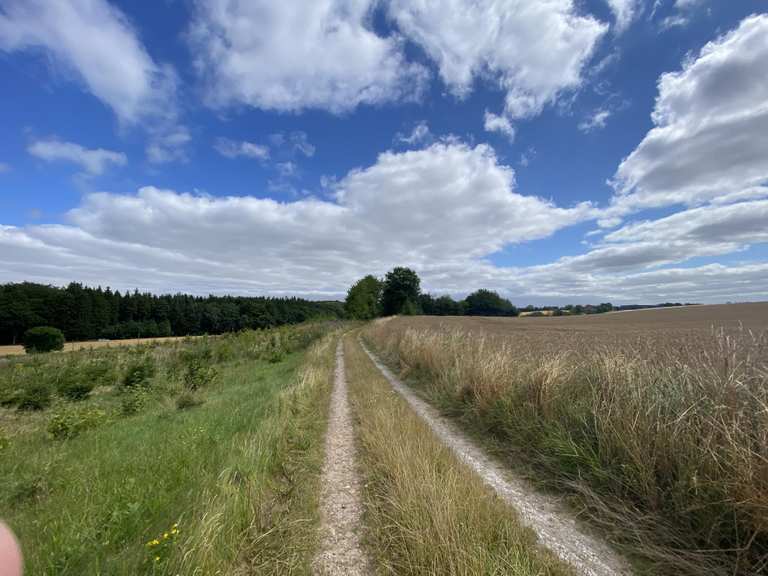 Die 10 schönsten Wanderungen rund um den Mossø | Komoot