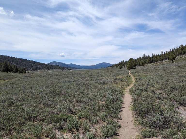 Attractions and Places To See in Sequoia National Forest - Top 20