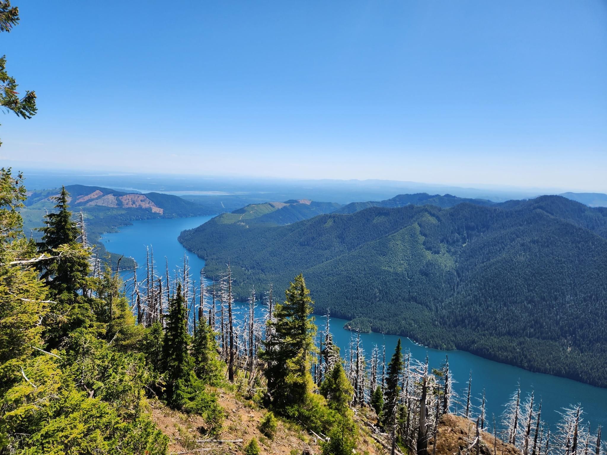 Top 20 Hikes and Walks in Olympic National Forest Komoot