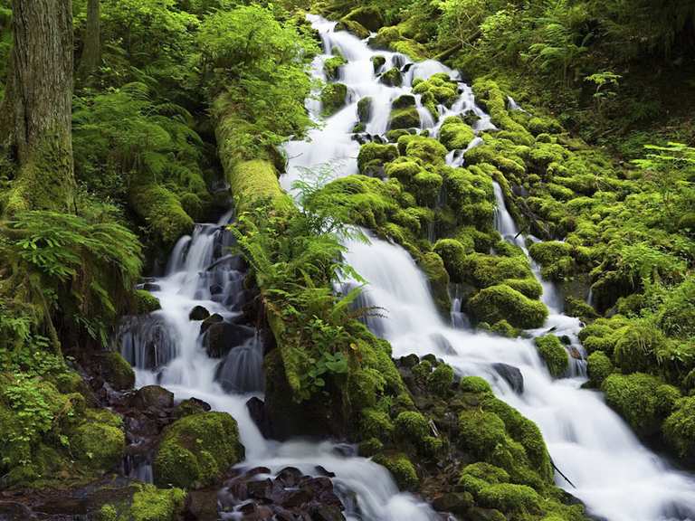 The best MTB trails in Columbia River Gorge National Scenic Area | Komoot