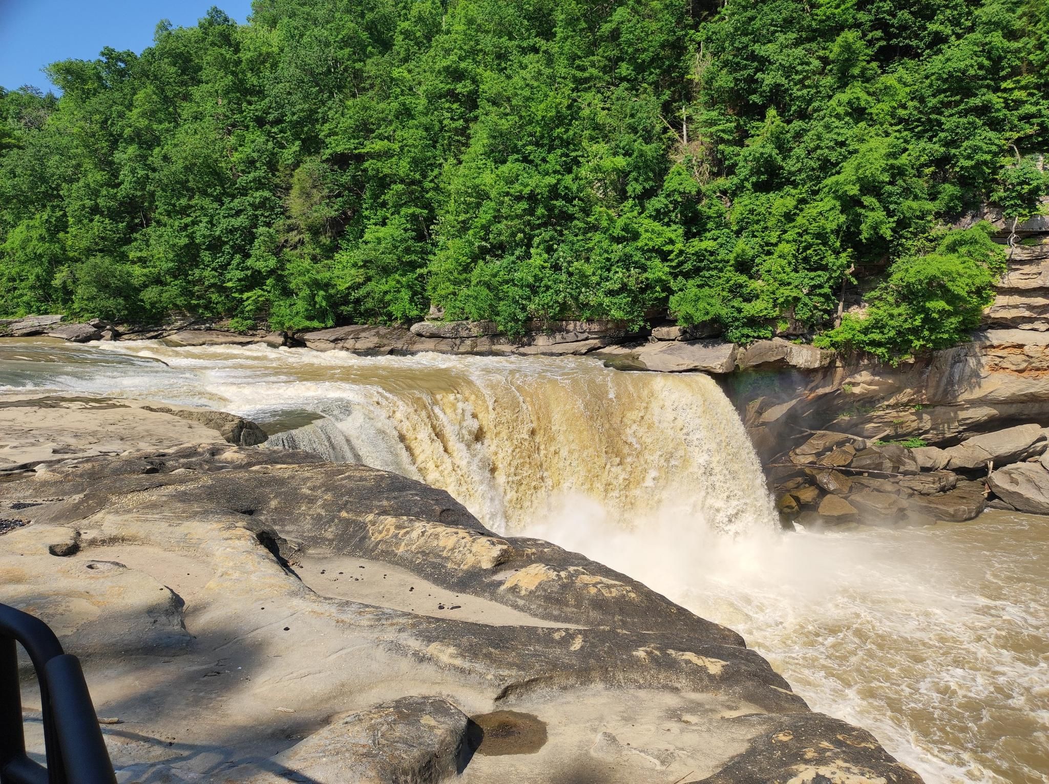 Top 11 Running Trails in Daniel Boone National Forest Komoot