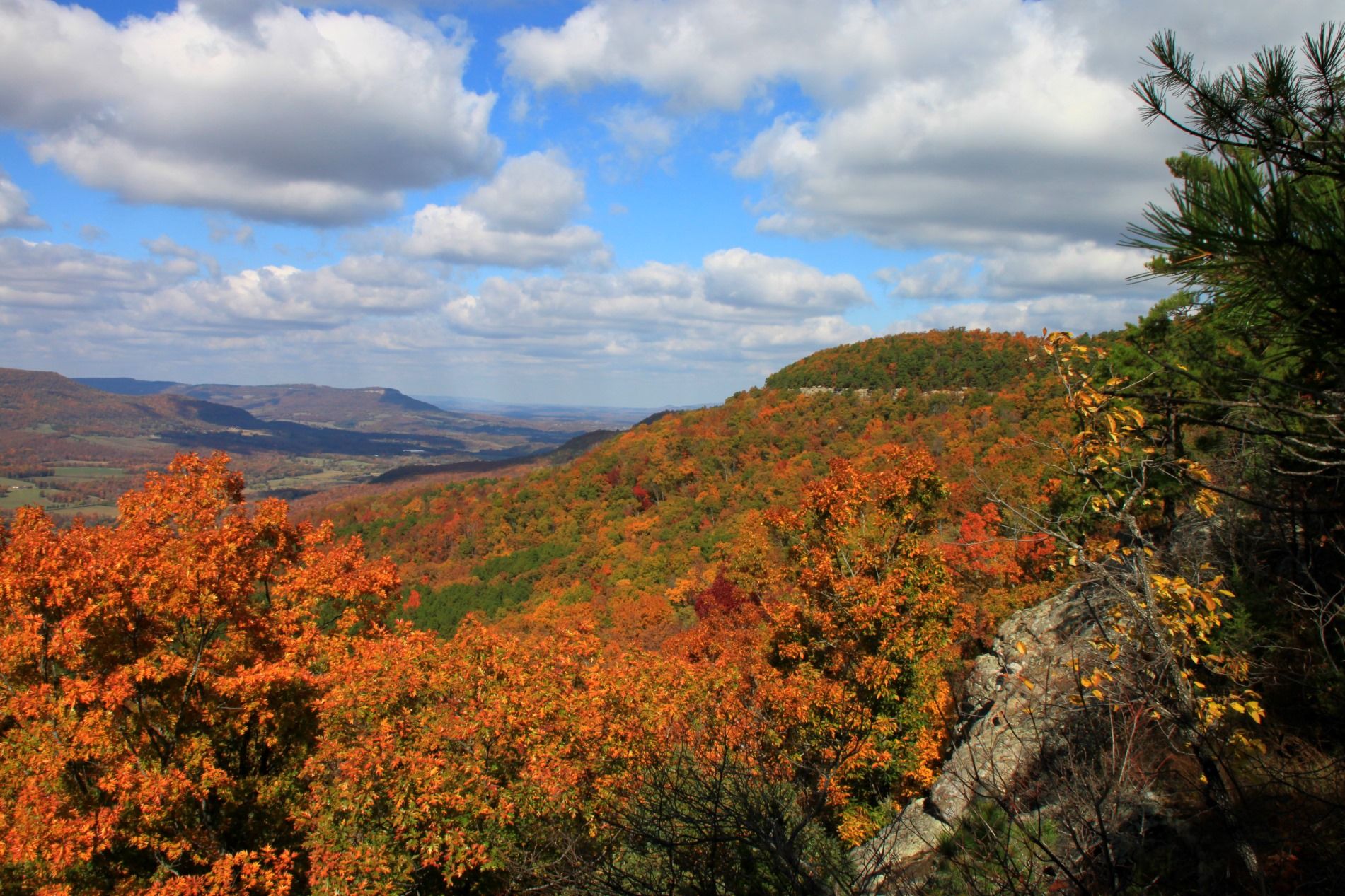 Hiking in ozark national forest hotsell