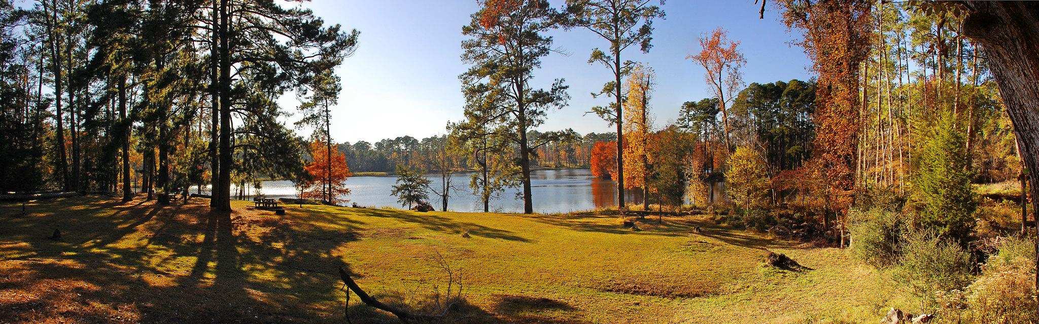 Top 20 Hikes And Walks In National Forests In Texas Komoot