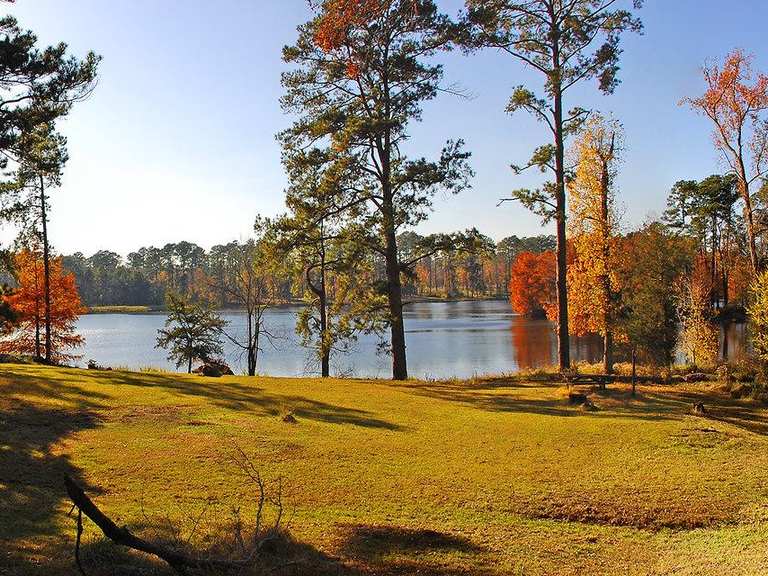 Top 10 Hikes And Walks In National Forests In Texas Komoot