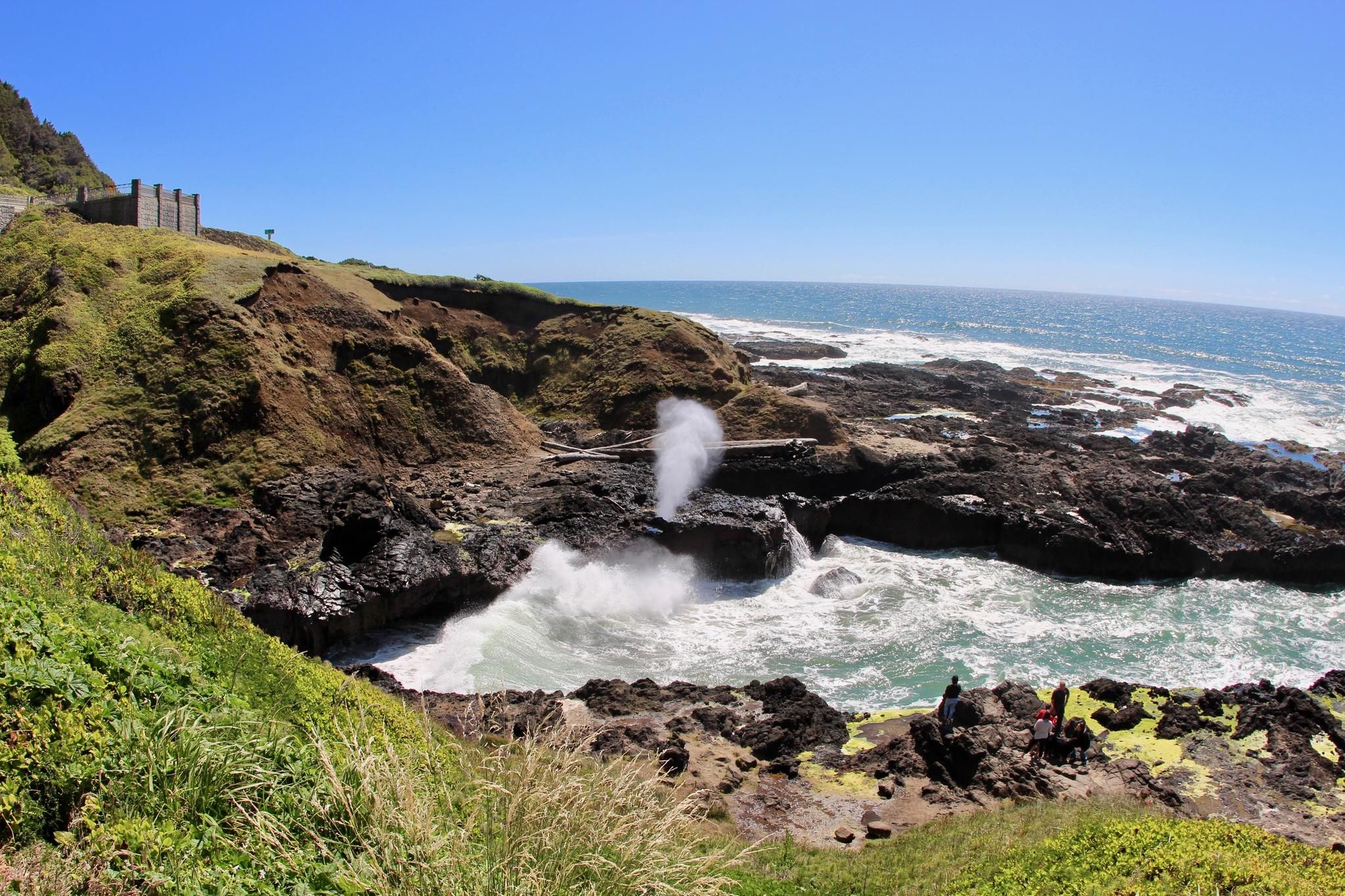 Top 16 Bike Rides and Cycling Routes in Siuslaw National Forest Komoot