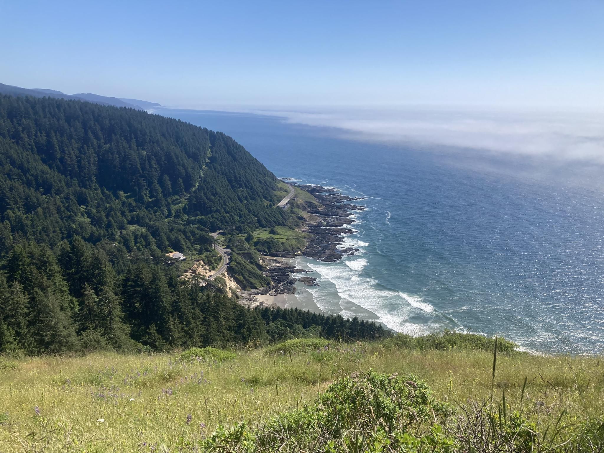 Best hikes in siuslaw national forest best sale