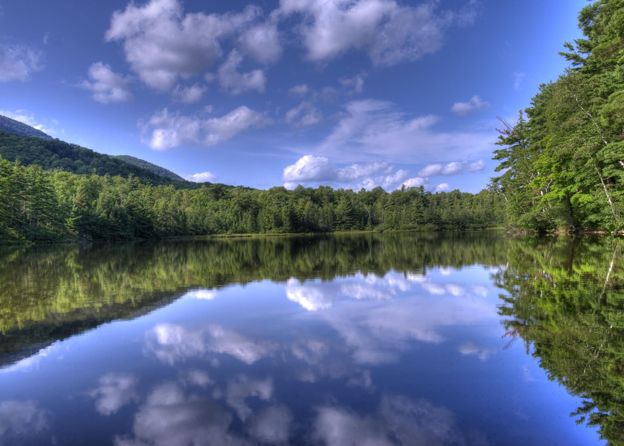 Top 20 Hikes and Walks in Green Mountain And Finger Lakes National Forests Komoot