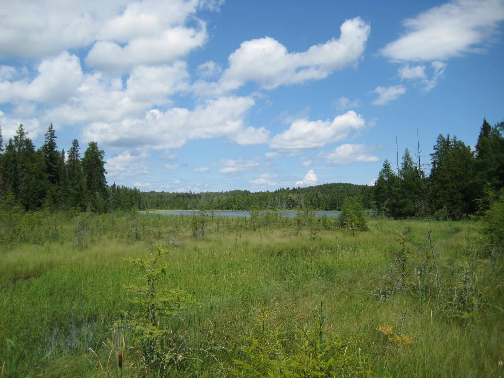 Top 10 Hikes and Walks in Chippewa National Forest Komoot