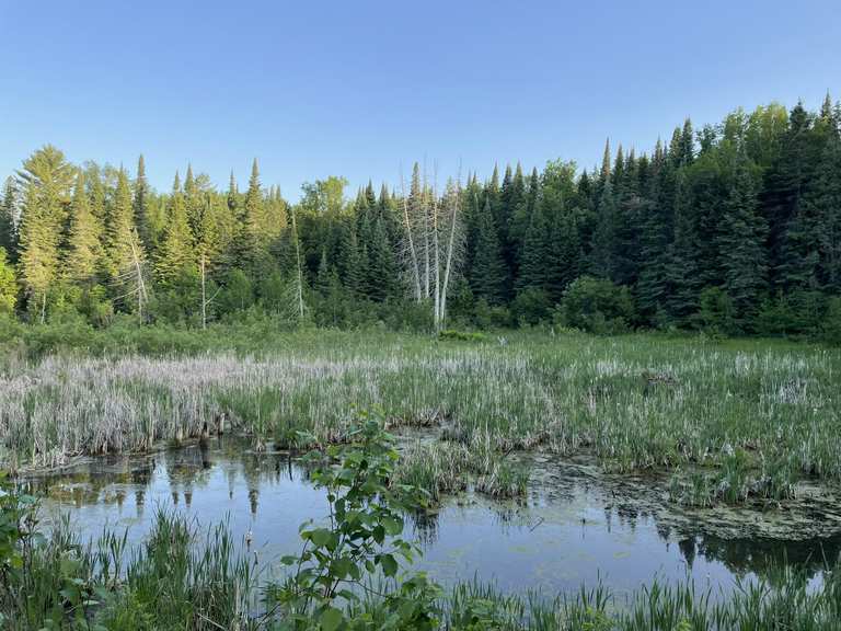 Attractions and Places To See in Chippewa National Forest - Top 15 | Komoot