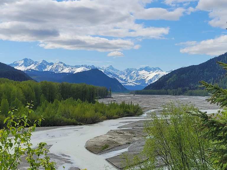 Les 20 meilleures attractions et ce qu'il faut voir à Tongass National ...
