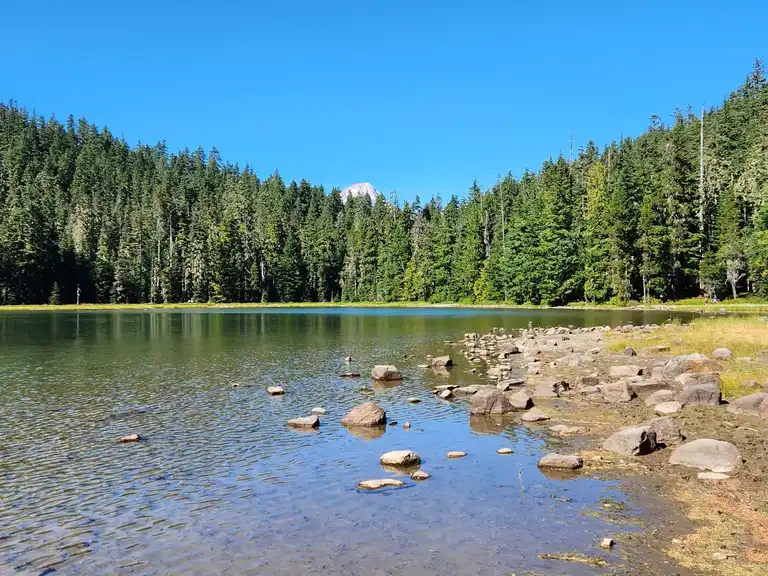 Top 12 Running Trails in Mount Hood National Recreation Area Komoot