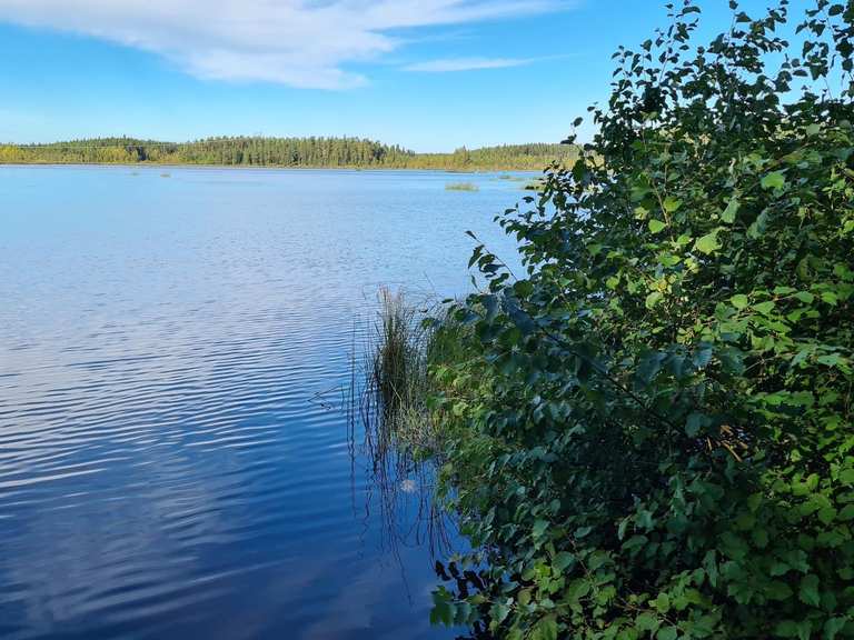 The best walks and hikes around Kalimeenlampi | Komoot