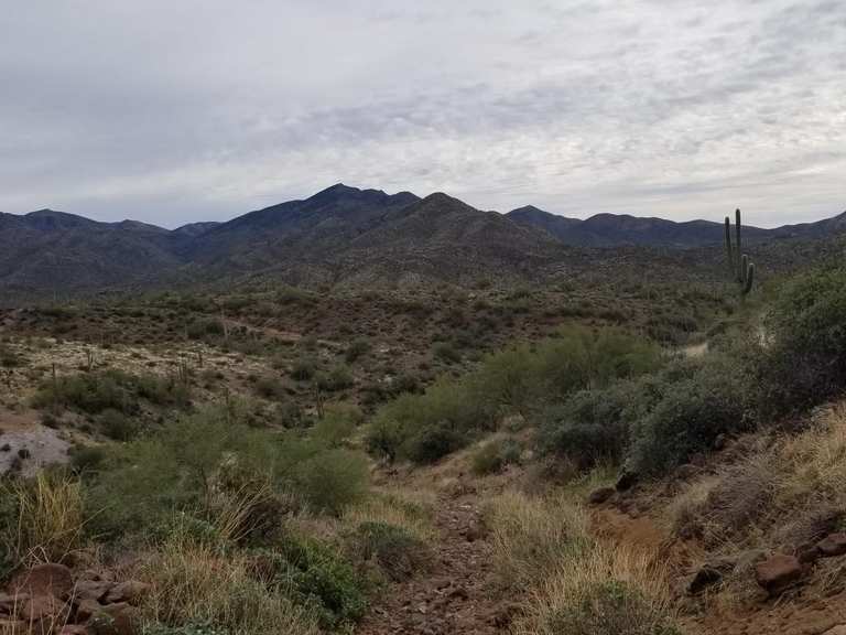 Attractions and Places To See around Cave Creek - Top 20 | Komoot