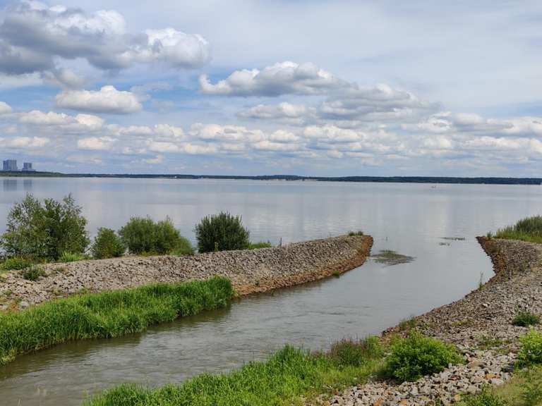 die-sch-nsten-radtouren-rund-um-den-b-rwalder-see-komoot