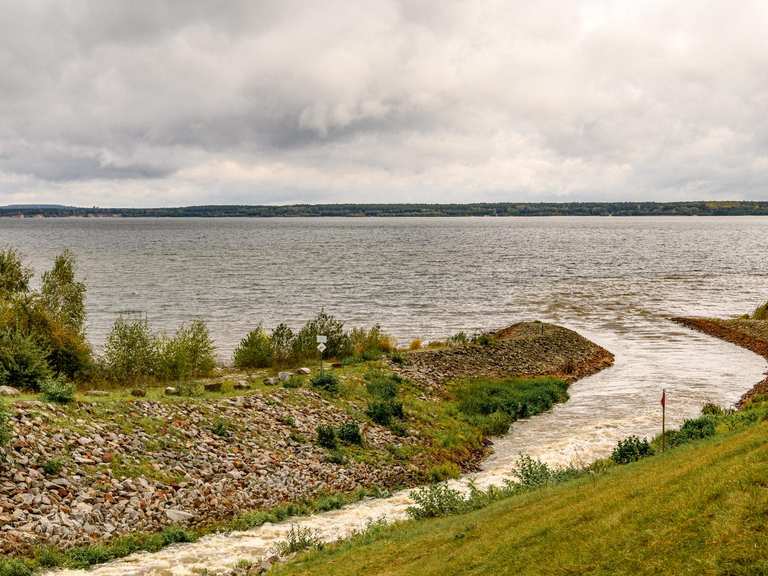 die-10-sch-nsten-laufstrecken-rund-um-den-b-rwalder-see-komoot