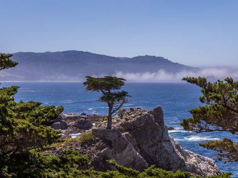 Top 17 Hikes and Walks around Carmel-By-The-Sea | Komoot