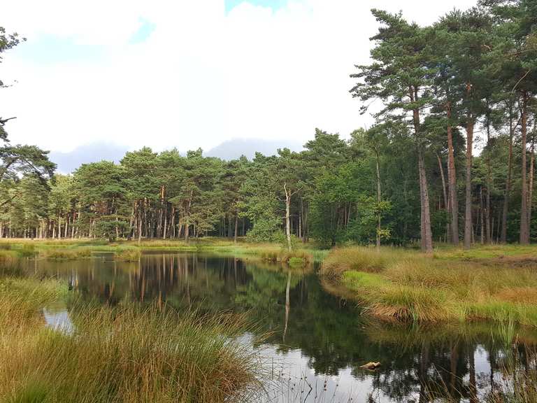 Die 13 schönsten Wanderungen rund um den Hariksee Komoot