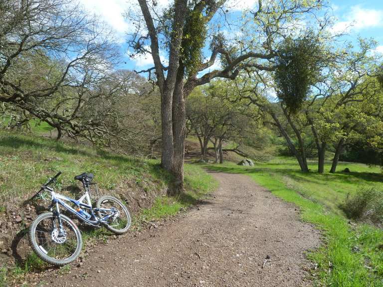 Walnut creek mountain store bike trail