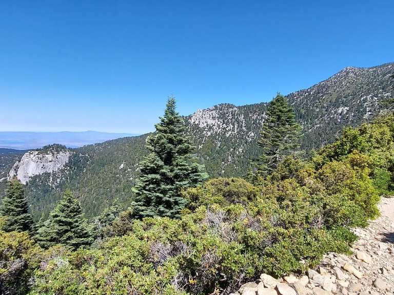 Attractions and Places To See around Idyllwild-Pine Cove - Top 20