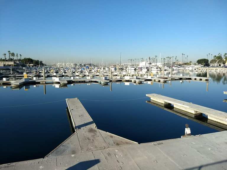 Attractions and Places To See around Marina Del Rey - Top 20
