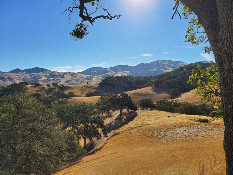 Top 10 Hikes and Walks around Shell Ridge | Komoot