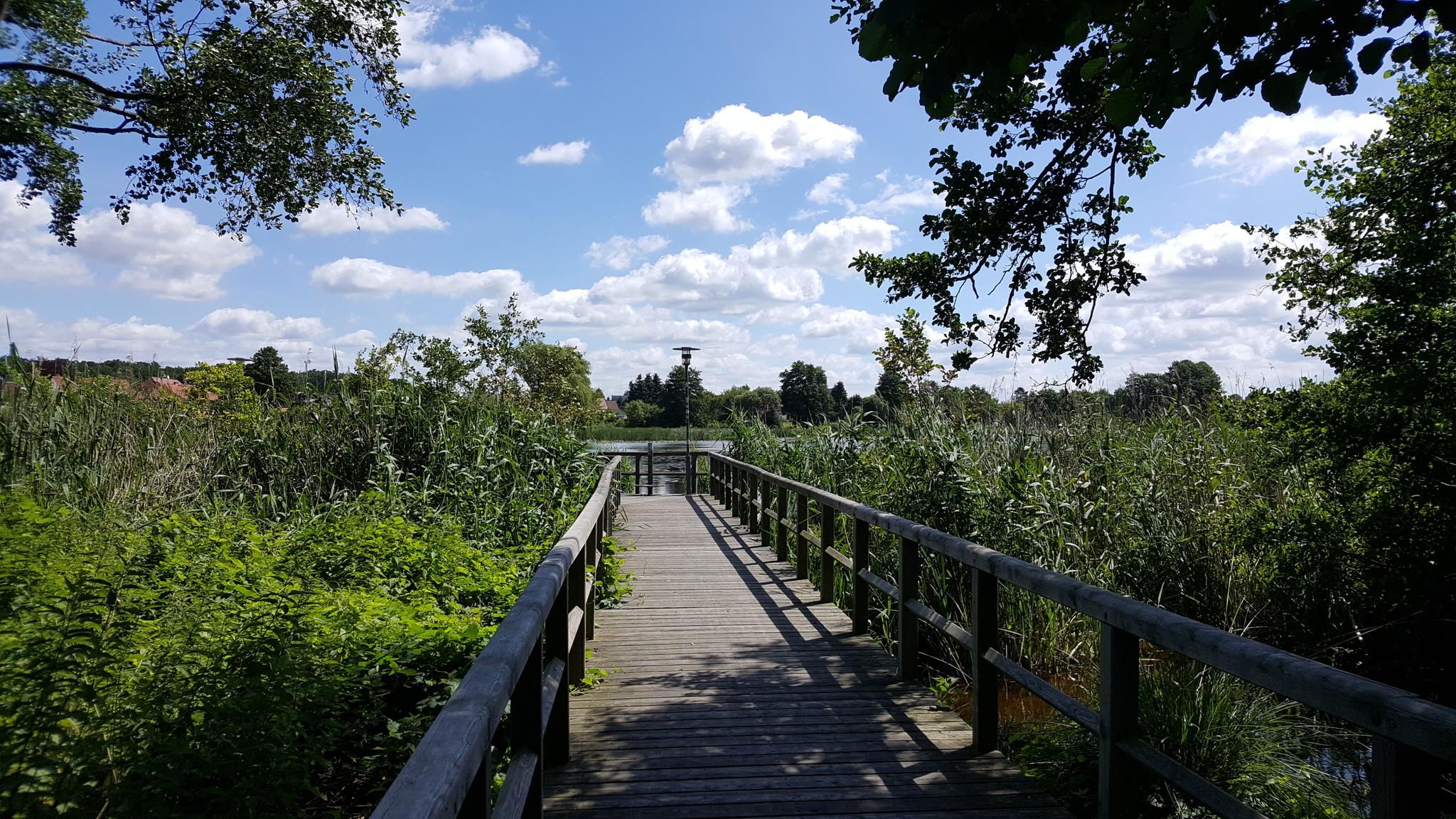 De 12 Mooiste Wandelroutes Rond Görnsee | Komoot