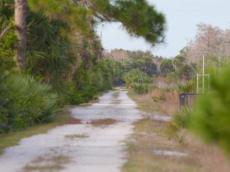 Attractions and Places To See around West Palm Beach - Top 20