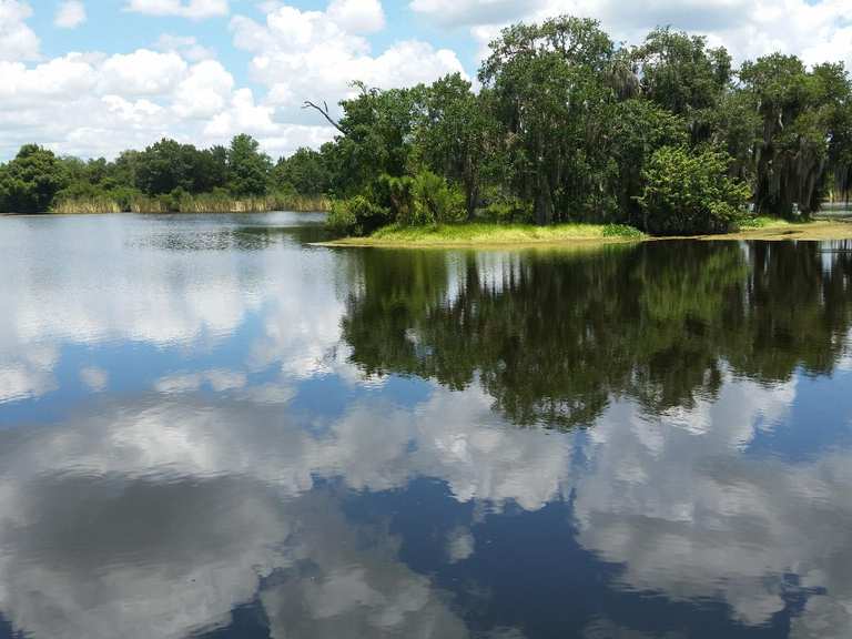 Attractions and Places To See around Tarpon Springs - Top 20