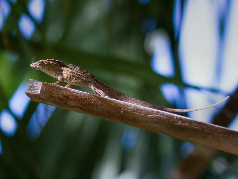 Attractions and Places To See around Port St. Lucie - Top 20 | Komoot
