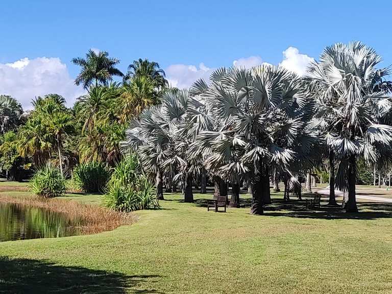 Attractions and Places To See around Coral Gables - Top 20 | Komoot