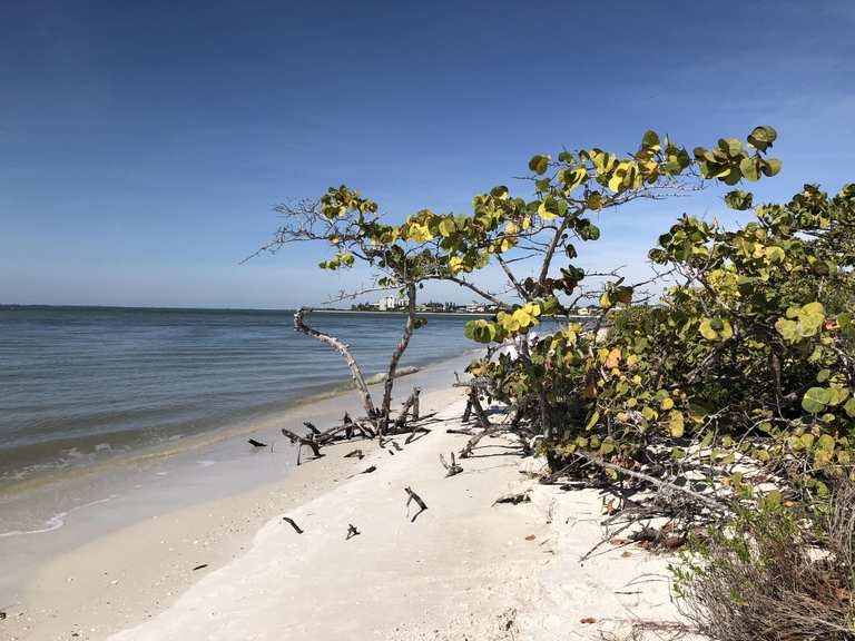 Attractions and Places To See around Bonita Springs - Top 16