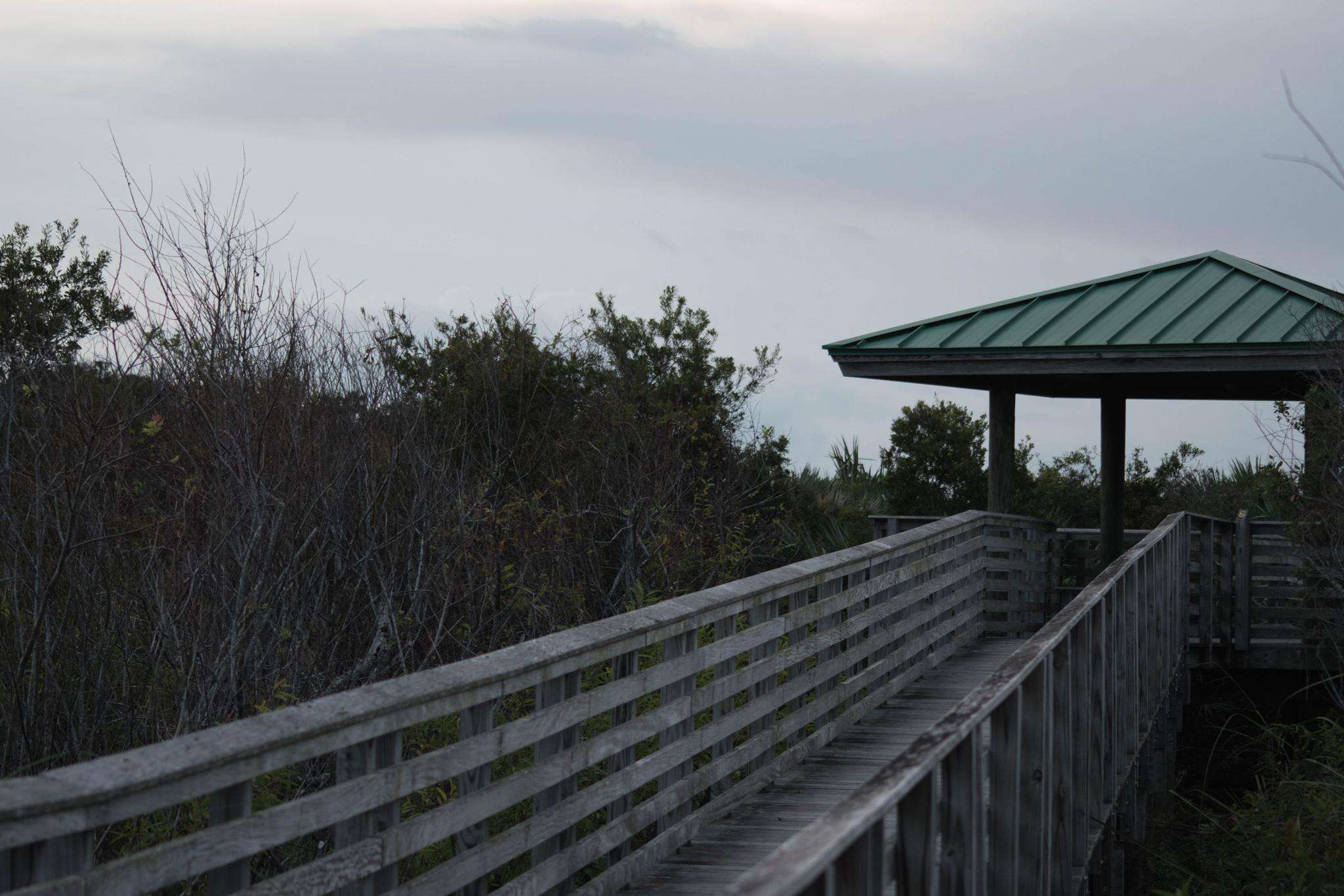 Top 7 Hikes and Walks around Juno Beach | Komoot