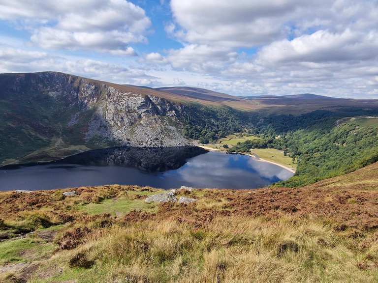 Lough tay store