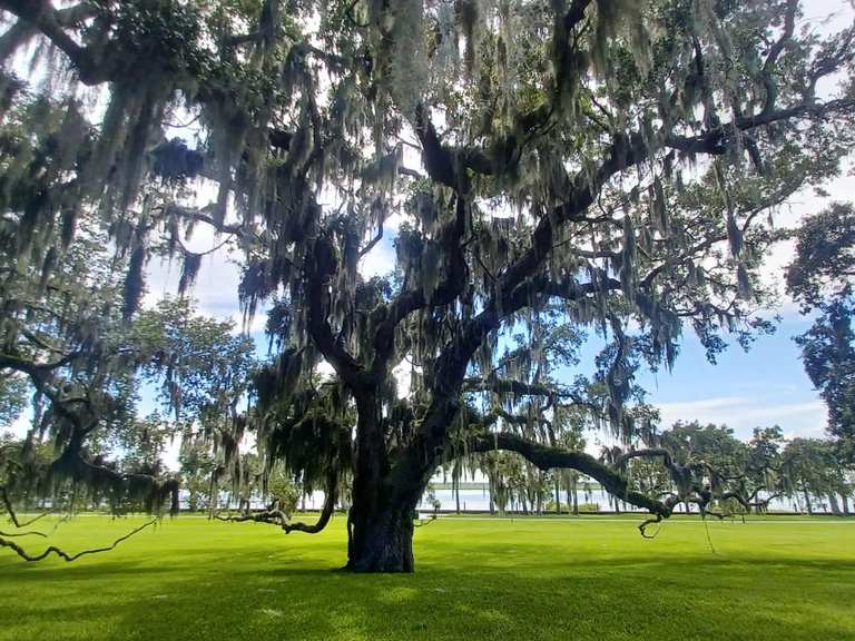 Attractions and Places To See around Jekyll Island - Top 12 | Komoot