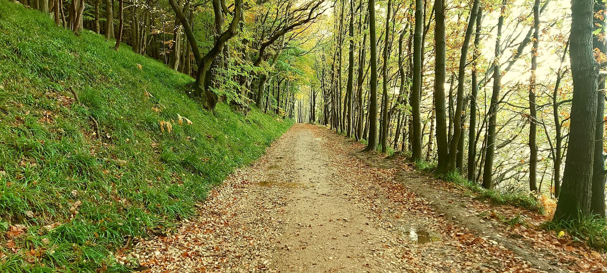 Die 10 Schönsten Wanderungen Rund Ums Lindley Wood Reservoir | Komoot