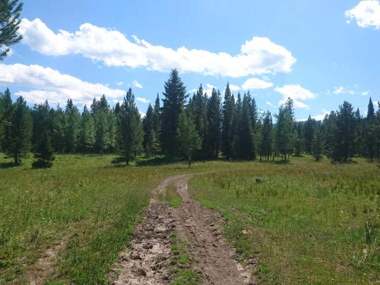 Attractions and Places To See around Island Park - Top 9 | Komoot