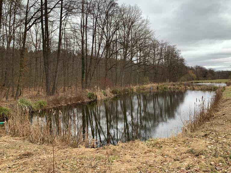 Die schönsten Wanderungen rund um den Fürther Stadtwald | Komoot