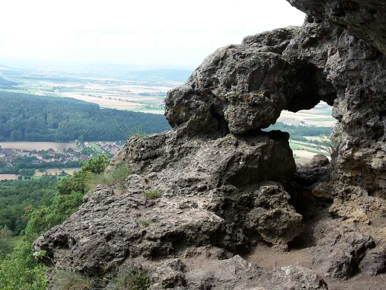 Die 10 schönsten Wanderungen rund um den Banzer Wald Komoot