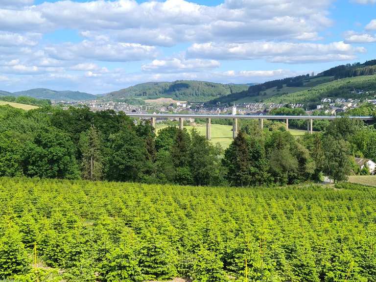 The best walks and hikes around Naturpark Arnsberger Wald | Komoot