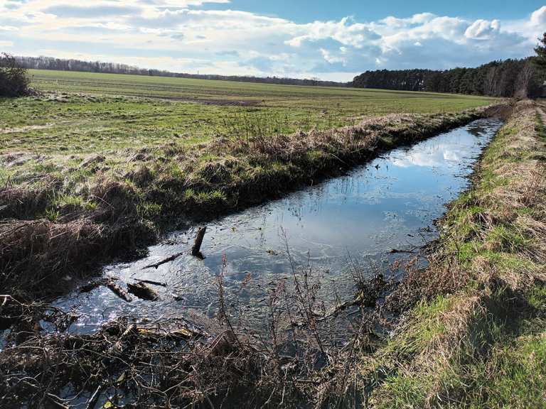 Die schönsten Wanderungen rund um Döbern | Komoot