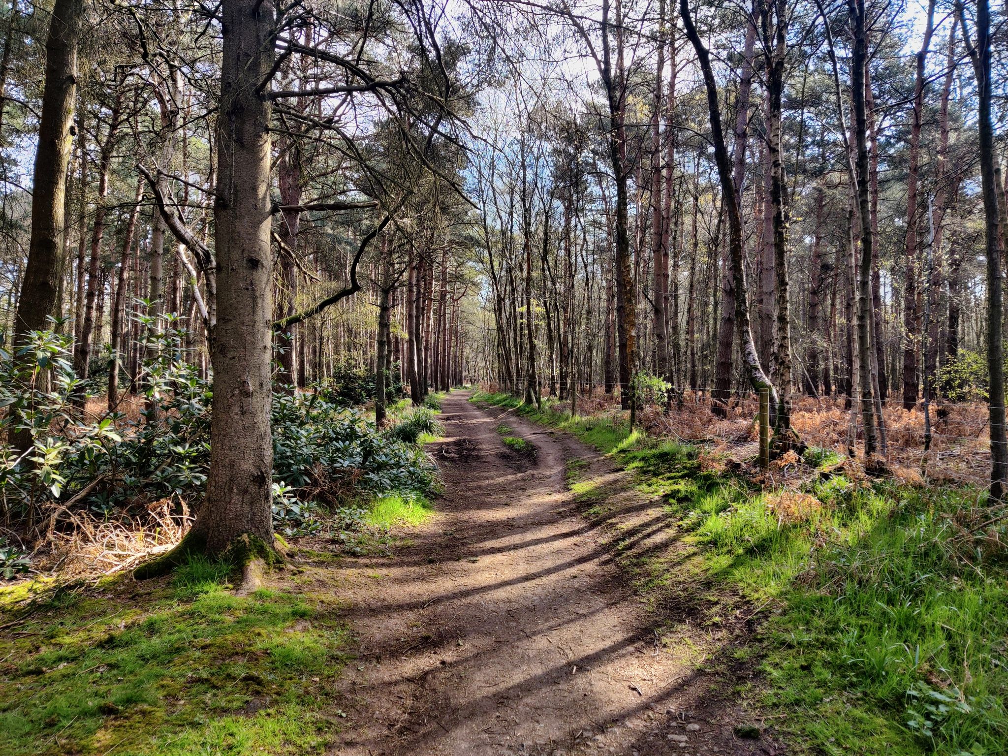Top 5 Bike Rides and Cycling Routes around Monken Hadley Common | Komoot